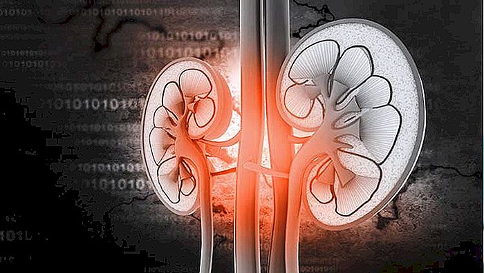 Cos'è la Pielonefrite?