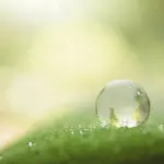 I moderni strumenti tecnici al servizio dell’ecosostenibilità