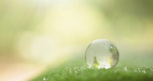 ecosostenibilità