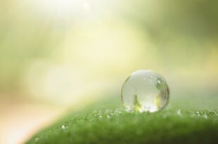 ecosostenibilità