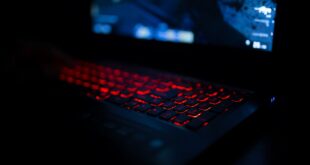 gaming online
